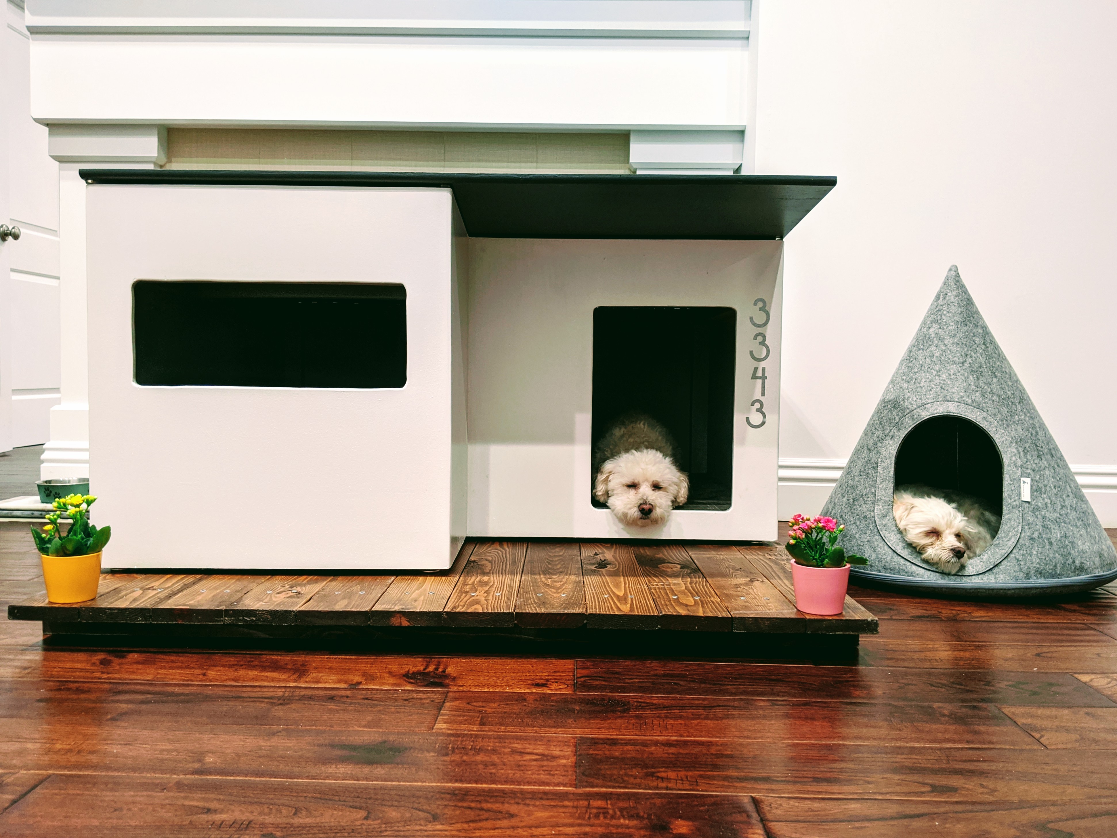 kakaotalk_photo_2020-01-28-11-59-52-1